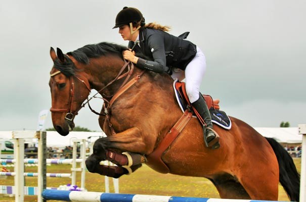 Horse show jumping at Royal Isle of Wight County Show, Isle of Wight